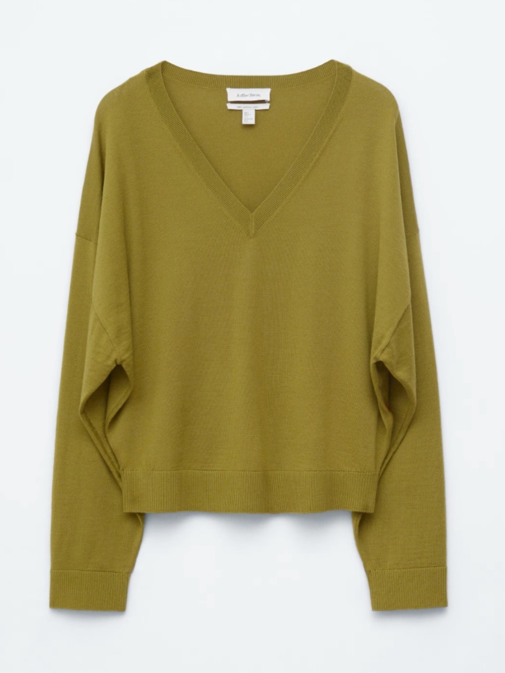 NWT & Other Stories Merino V-Neck Sweater
